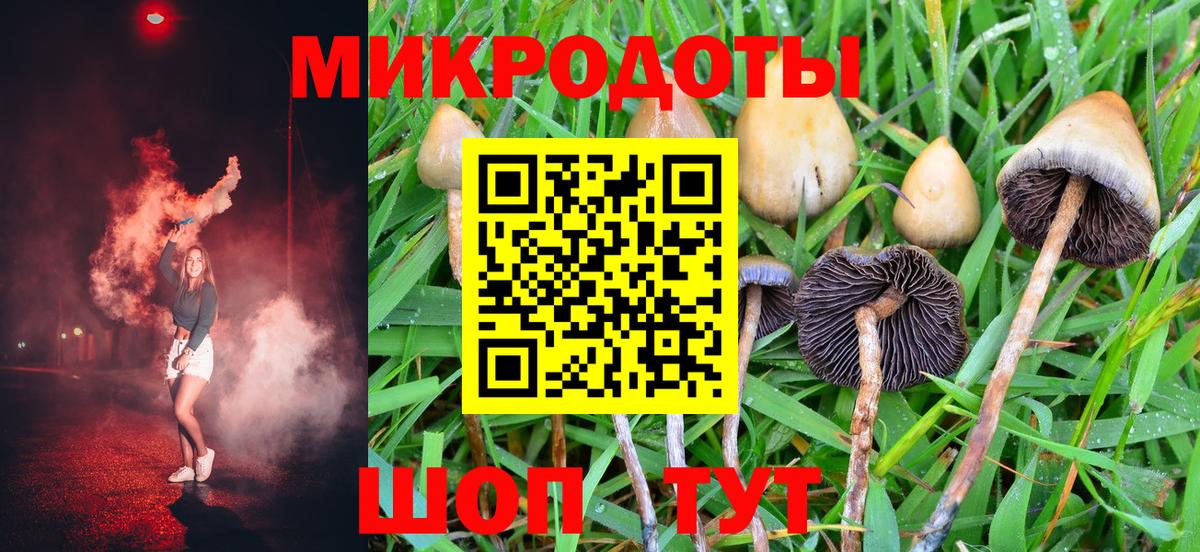 Псилоцибиновые грибы Psilocybe Корсаков